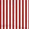 Sexy Short